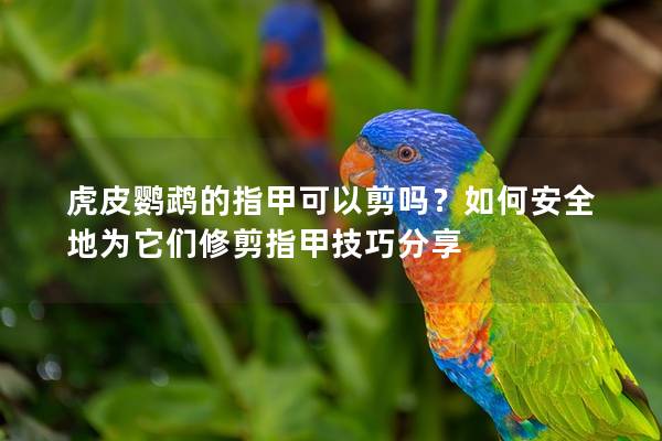 虎皮鹦鹉的指甲可以剪吗？如何安全地为它们修剪指甲技巧分享