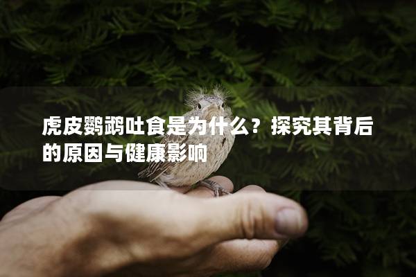 虎皮鹦鹉吐食是为什么？探究其背后的原因与健康影响