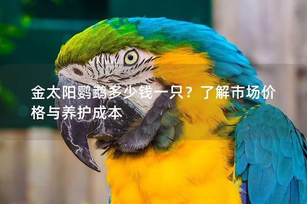 金太阳鹦鹉多少钱一只？了解市场价格与养护成本