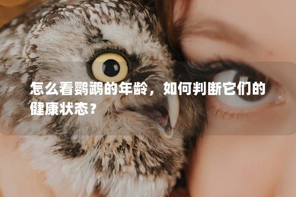 怎么看鹦鹉的年龄，如何判断它们的健康状态？