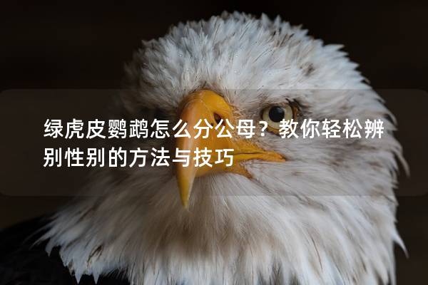 绿虎皮鹦鹉怎么分公母？教你轻松辨别性别的方法与技巧