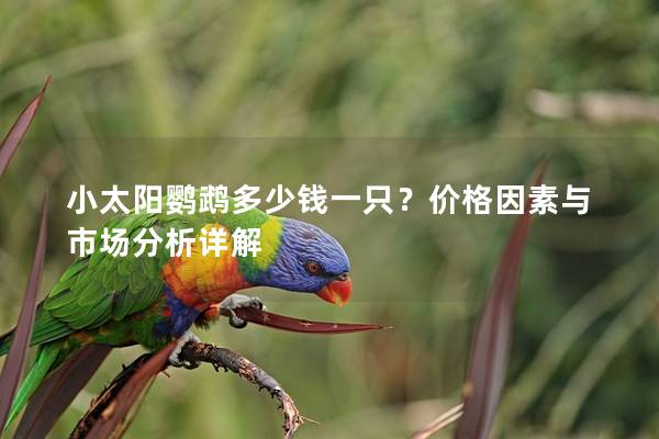 小太阳鹦鹉多少钱一只？价格因素与市场分析详解