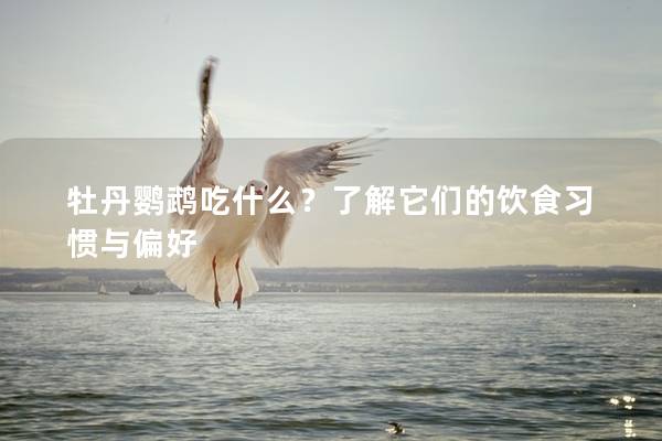 牡丹鹦鹉吃什么？了解它们的饮食习惯与偏好