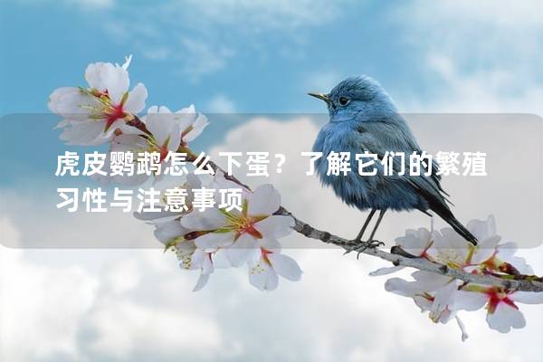 虎皮鹦鹉怎么下蛋？了解它们的繁殖习性与注意事项