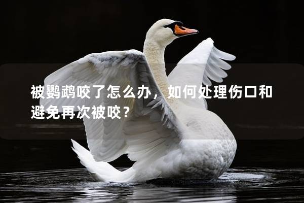 被鹦鹉咬了怎么办，如何处理伤口和避免再次被咬？