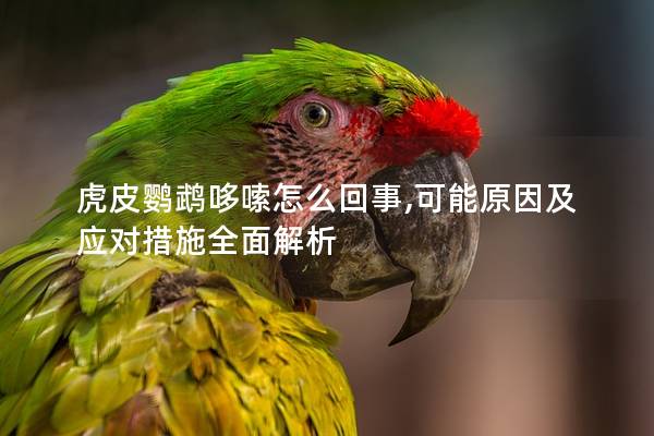 虎皮鹦鹉哆嗦怎么回事,可能原因及应对措施全面解析