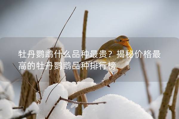 牡丹鹦鹉什么品种最贵？揭秘价格最高的牡丹鹦鹉品种排行榜