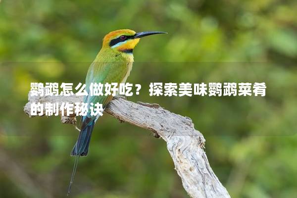 鹦鹉怎么做好吃？探索美味鹦鹉菜肴的制作秘诀