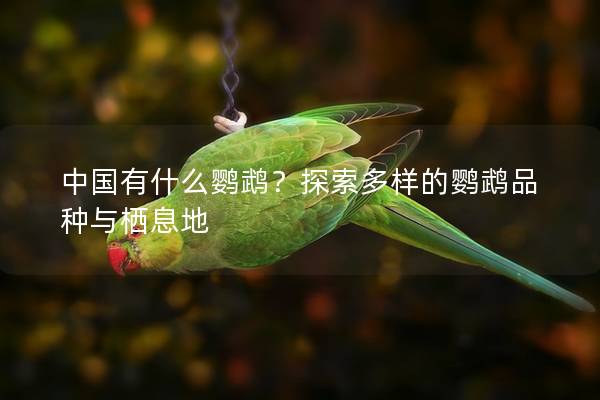 中国有什么鹦鹉？探索多样的鹦鹉品种与栖息地