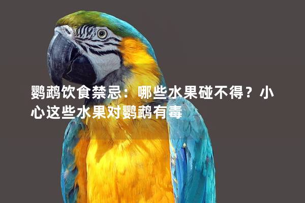 鹦鹉饮食禁忌：哪些水果碰不得？小心这些水果对鹦鹉有毒