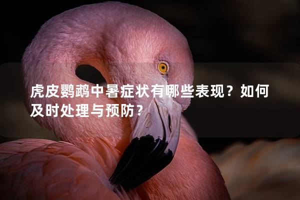 虎皮鹦鹉中暑症状有哪些表现？如何及时处理与预防？