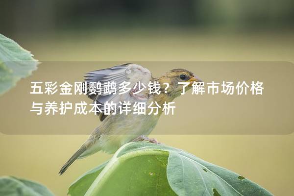 五彩金刚鹦鹉多少钱？了解市场价格与养护成本的详细分析