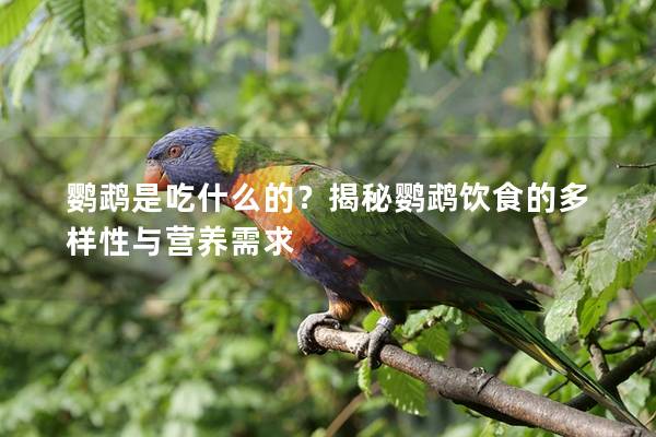 鹦鹉是吃什么的？揭秘鹦鹉饮食的多样性与营养需求