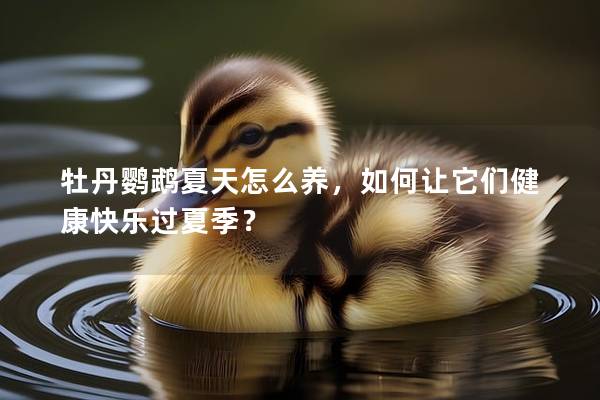 牡丹鹦鹉夏天怎么养，如何让它们健康快乐过夏季？