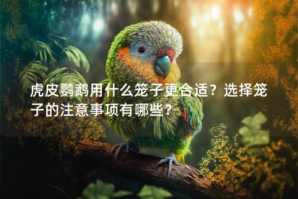 虎皮鹦鹉用什么笼子更合适？选择笼子的注意事项有哪些？