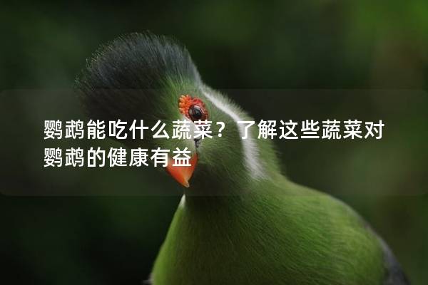 鹦鹉能吃什么蔬菜？了解这些蔬菜对鹦鹉的健康有益