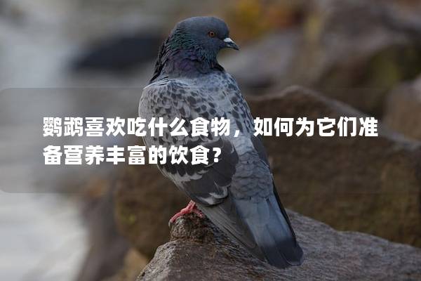 鹦鹉喜欢吃什么食物，如何为它们准备营养丰富的饮食？