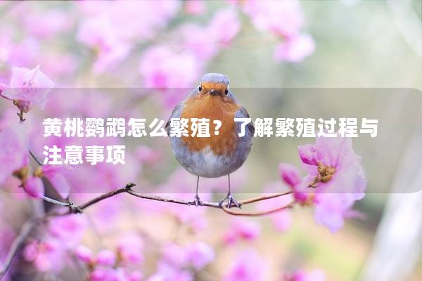 黄桃鹦鹉怎么繁殖？了解繁殖过程与注意事项