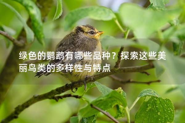 绿色的鹦鹉有哪些品种？探索这些美丽鸟类的多样性与特点