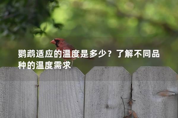 鹦鹉适应的温度是多少？了解不同品种的温度需求