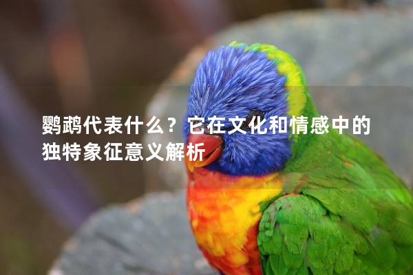 鹦鹉代表什么？它在文化和情感中的独特象征意义解析