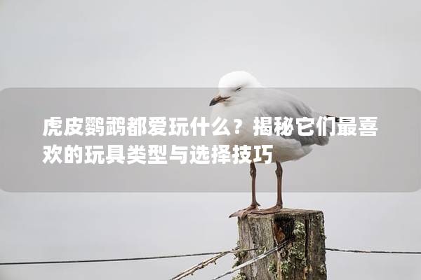 虎皮鹦鹉都爱玩什么？揭秘它们最喜欢的玩具类型与选择技巧