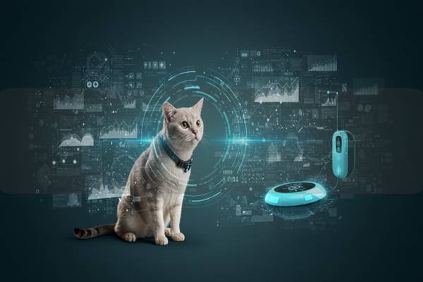 宠物爱宠趣味：如何利用宠物AI提升养宠体验与商业价值