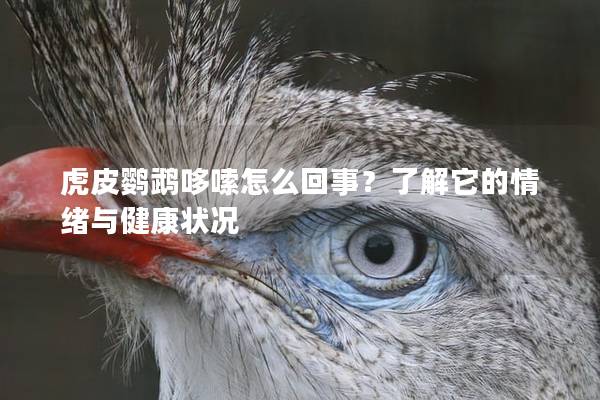 虎皮鹦鹉哆嗦怎么回事？了解它的情绪与健康状况