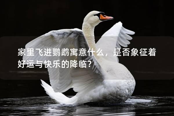 家里飞进鹦鹉寓意什么，是否象征着好运与快乐的降临？