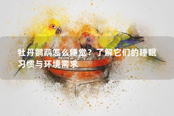 牡丹鹦鹉怎么睡觉？了解它们的睡眠习惯与环境需求