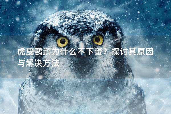 虎皮鹦鹉为什么不下蛋？探讨其原因与解决方法