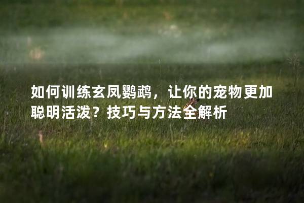 如何训练玄凤鹦鹉，让你的宠物更加聪明活泼？技巧与方法全解析