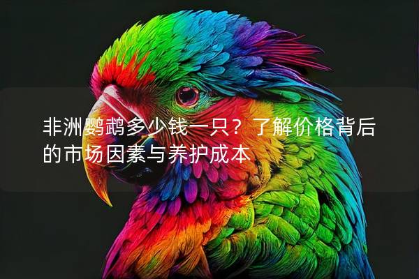 非洲鹦鹉多少钱一只？了解价格背后的市场因素与养护成本