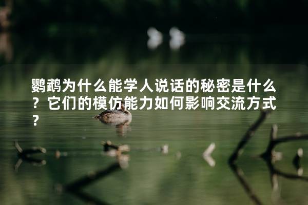 鹦鹉为什么能学人说话的秘密是什么？它们的模仿能力如何影响交流方式？