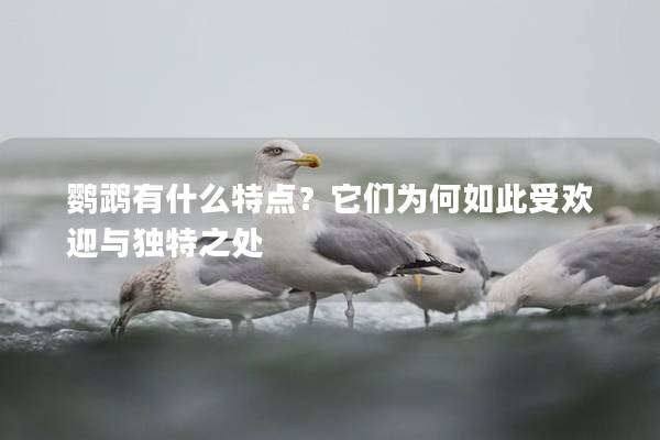 鹦鹉有什么特点？它们为何如此受欢迎与独特之处
