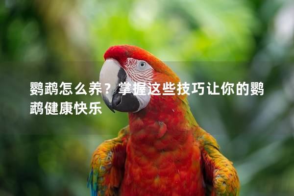 鹦鹉怎么养？掌握这些技巧让你的鹦鹉健康快乐