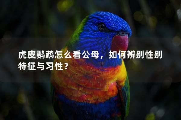 虎皮鹦鹉怎么看公母，如何辨别性别特征与习性？