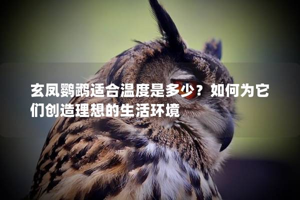 玄凤鹦鹉适合温度是多少？如何为它们创造理想的生活环境
