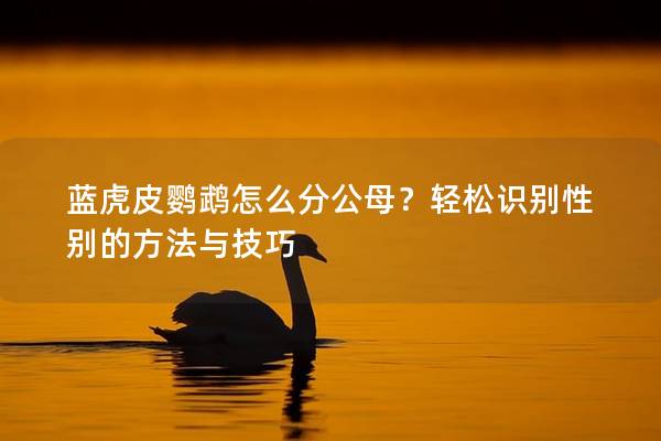 蓝虎皮鹦鹉怎么分公母？轻松识别性别的方法与技巧
