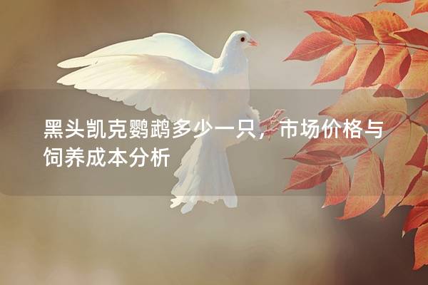 黑头凯克鹦鹉多少一只，市场价格与饲养成本分析