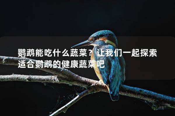 鹦鹉能吃什么蔬菜？让我们一起探索适合鹦鹉的健康蔬菜吧