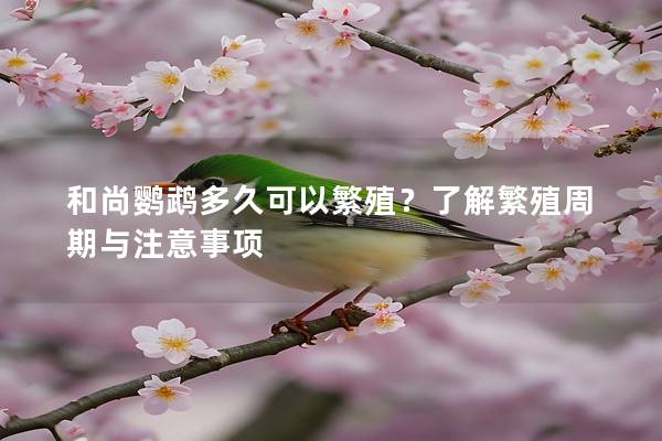和尚鹦鹉多久可以繁殖？了解繁殖周期与注意事项