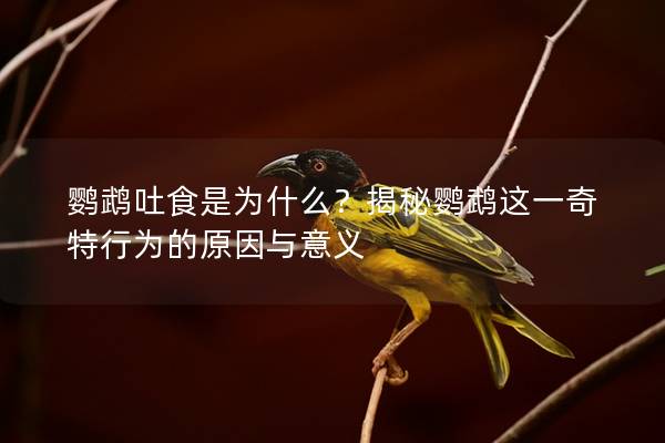 鹦鹉吐食是为什么？揭秘鹦鹉这一奇特行为的原因与意义