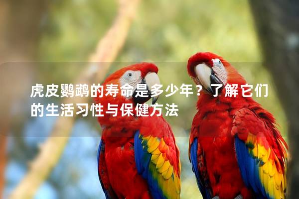 虎皮鹦鹉的寿命是多少年？了解它们的生活习性与保健方法