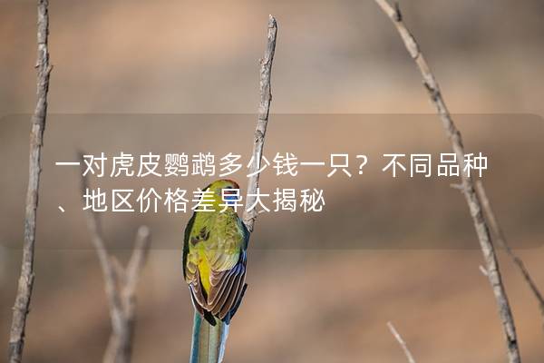 一对虎皮鹦鹉多少钱一只？不同品种、地区价格差异大揭秘