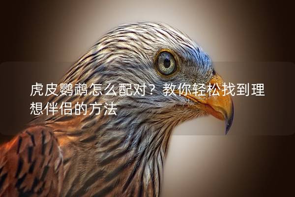 虎皮鹦鹉怎么配对？教你轻松找到理想伴侣的方法