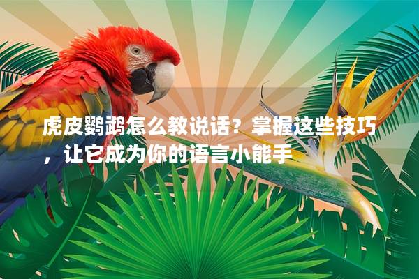 虎皮鹦鹉怎么教说话？掌握这些技巧，让它成为你的语言小能手