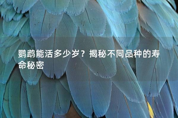 鹦鹉能活多少岁？揭秘不同品种的寿命秘密
