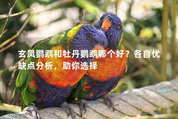 玄凤鹦鹉和牡丹鹦鹉哪个好？各自优缺点分析，助你选择