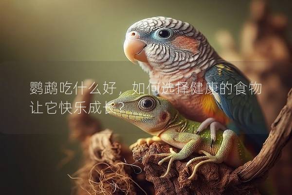 鹦鹉吃什么好，如何选择健康的食物让它快乐成长？